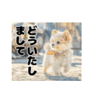 子犬衣装スタンプ（個別スタンプ：5）
