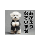 子犬衣装スタンプ（個別スタンプ：10）