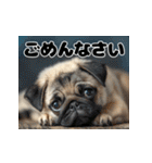 子犬衣装スタンプ（個別スタンプ：13）