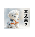 子犬衣装スタンプ（個別スタンプ：17）