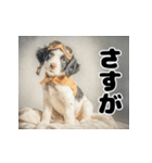子犬衣装スタンプ（個別スタンプ：22）