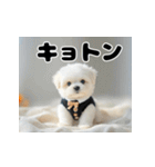 子犬衣装スタンプ（個別スタンプ：24）