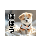 子犬衣装スタンプ（個別スタンプ：27）