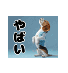 子犬衣装スタンプ（個別スタンプ：28）