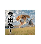 子犬衣装スタンプ（個別スタンプ：33）