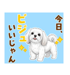 気持ち伝わる♡マルチーズの毎日スタンプ（個別スタンプ：2）