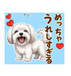 気持ち伝わる♡マルチーズの毎日スタンプ（個別スタンプ：4）