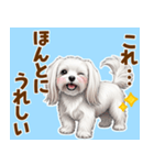気持ち伝わる♡マルチーズの毎日スタンプ（個別スタンプ：6）