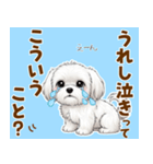気持ち伝わる♡マルチーズの毎日スタンプ（個別スタンプ：7）