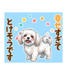 気持ち伝わる♡マルチーズの毎日スタンプ（個別スタンプ：8）