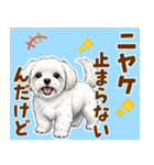 気持ち伝わる♡マルチーズの毎日スタンプ（個別スタンプ：10）