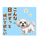 気持ち伝わる♡マルチーズの毎日スタンプ（個別スタンプ：11）