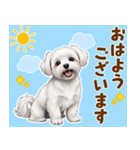 気持ち伝わる♡マルチーズの毎日スタンプ（個別スタンプ：17）