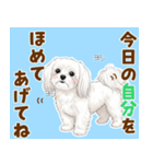気持ち伝わる♡マルチーズの毎日スタンプ（個別スタンプ：18）