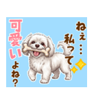 気持ち伝わる♡マルチーズの毎日スタンプ（個別スタンプ：23）