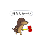 新・激しく尻尾をふるダックス 2（個別スタンプ：1）