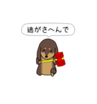 新・激しく尻尾をふるダックス 2（個別スタンプ：2）