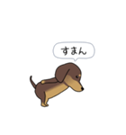 新・激しく尻尾をふるダックス 2（個別スタンプ：4）