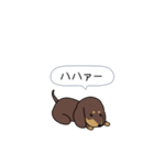 新・激しく尻尾をふるダックス 2（個別スタンプ：6）