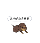 新・激しく尻尾をふるダックス 2（個別スタンプ：7）