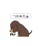新・激しく尻尾をふるダックス 2（個別スタンプ：8）