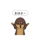 新・激しく尻尾をふるダックス 2（個別スタンプ：14）