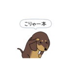 新・激しく尻尾をふるダックス 2（個別スタンプ：16）