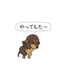 新・激しく尻尾をふるダックス 2（個別スタンプ：18）