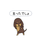 新・激しく尻尾をふるダックス 2（個別スタンプ：19）