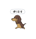 新・激しく尻尾をふるダックス 2（個別スタンプ：21）