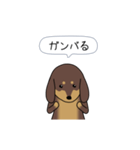 新・激しく尻尾をふるダックス 2（個別スタンプ：22）