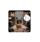紫色の箱 *move（個別スタンプ：5）