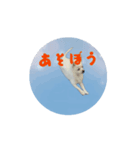 パピーさん達（個別スタンプ：5）