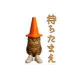 brain rot cat（個別スタンプ：2）