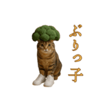 brain rot cat（個別スタンプ：3）