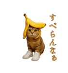 brain rot cat（個別スタンプ：4）
