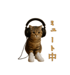 brain rot cat（個別スタンプ：5）