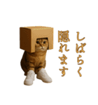brain rot cat（個別スタンプ：6）