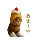 brain rot cat（個別スタンプ：11）