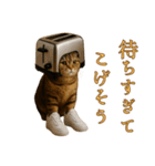 brain rot cat（個別スタンプ：15）