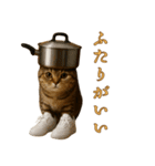 brain rot cat（個別スタンプ：16）