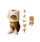 brain rot cat（個別スタンプ：17）