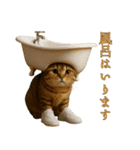 brain rot cat（個別スタンプ：19）