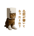 brain rot cat（個別スタンプ：21）