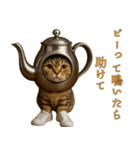 brain rot cat（個別スタンプ：25）
