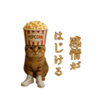 brain rot cat（個別スタンプ：26）