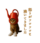 brain rot cat（個別スタンプ：27）