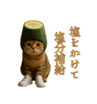 brain rot cat（個別スタンプ：28）