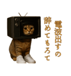 brain rot cat（個別スタンプ：29）