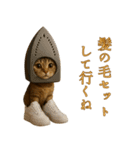 brain rot cat（個別スタンプ：31）